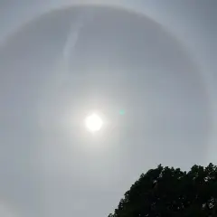 En vacker solring runt solen, ett optiskt fenomen som skapar en cirkel av ljus. En grönaktig prick syns också nära solen.