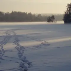 Snöklädda spår leder över en frusen sjö i morgonljus. Solens bana kastar långa skuggor över det gnistrande landskapet.