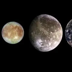 De galileiska månarna Io, Europa, Ganymedes och Callisto visas i rad mot en svart bakgrund.