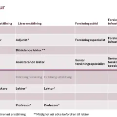 Karriärstruktur för en astrofysiker: från postdoktor till professor, med olika anställningsformer och forskningsstöd.