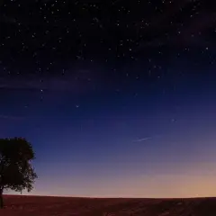 Ensam träd på ett fält under en stjärnklar himmel med en ny måne.