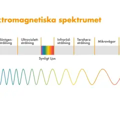 Diagrammet visar hur uppstår ljus och det elektromagnetiska spektrumet, från gammastrålning till radiovågor, med synligt ljus i mitten.