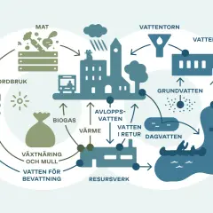 Diagrammet visar hur jordens vatten cirkulerar från jordbruk och matproduktion till städer, reningsverk och tillbaka till naturen.
