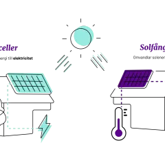 Diagram visar hur solceller omvandlar solljus till el och solfångare till värme. Solen består av gaser, vilket är grunden för vad solen består av.