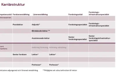 Karriärstruktur för en astrofysiker: från postdoktor till professor, med olika anställningsformer och forskningsstöd.