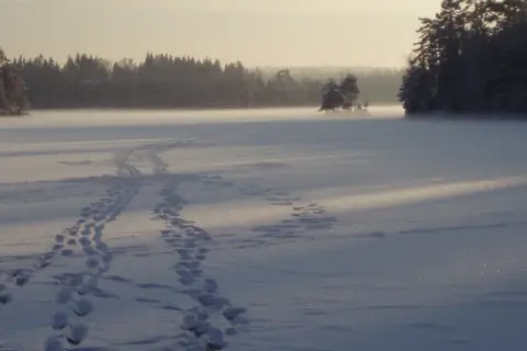 Snöklädda spår leder över en frusen sjö i morgonljus. Solens bana kastar långa skuggor över det gnistrande landskapet.