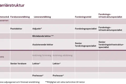 Karriärstruktur för en astrofysiker: från postdoktor till professor, med olika anställningsformer och forskningsstöd.