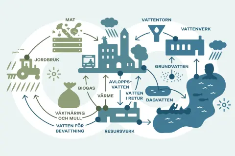 Diagrammet visar hur jordens vatten cirkulerar från jordbruk och matproduktion till städer, reningsverk och tillbaka till naturen.
