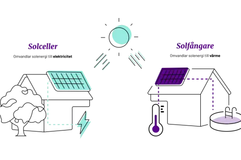 Diagram visar hur solceller omvandlar solljus till el och solfångare till värme. Solen består av gaser, vilket är grunden för vad solen består av.