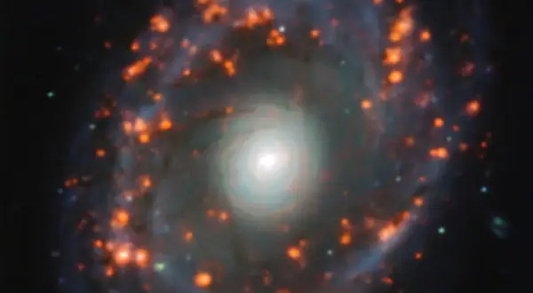En spiralgalax, liknande en virvel, med glödande orange stjärnor längs sina armar.
