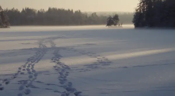 Snöklädda spår leder över en frusen sjö i morgonljus. Solens bana kastar långa skuggor över det gnistrande landskapet.
