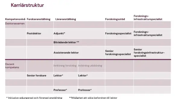 Karriärstruktur för en astrofysiker: från postdoktor till professor, med olika anställningsformer och forskningsstöd.