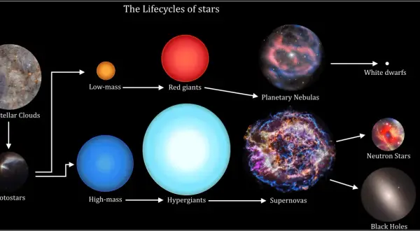Diagrammet visar stjärnors livscykler, från interstellära moln till protostjärnor, röda jättar, hyperjättar, supernovor, vita dvärgar, neutronstjärnor och svarta hål. En bra grund för astronomi utbildning.