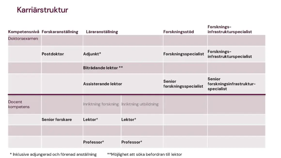 Karriärstruktur för en astrofysiker: från postdoktor till professor, med olika anställningsformer och forskningsstöd.
