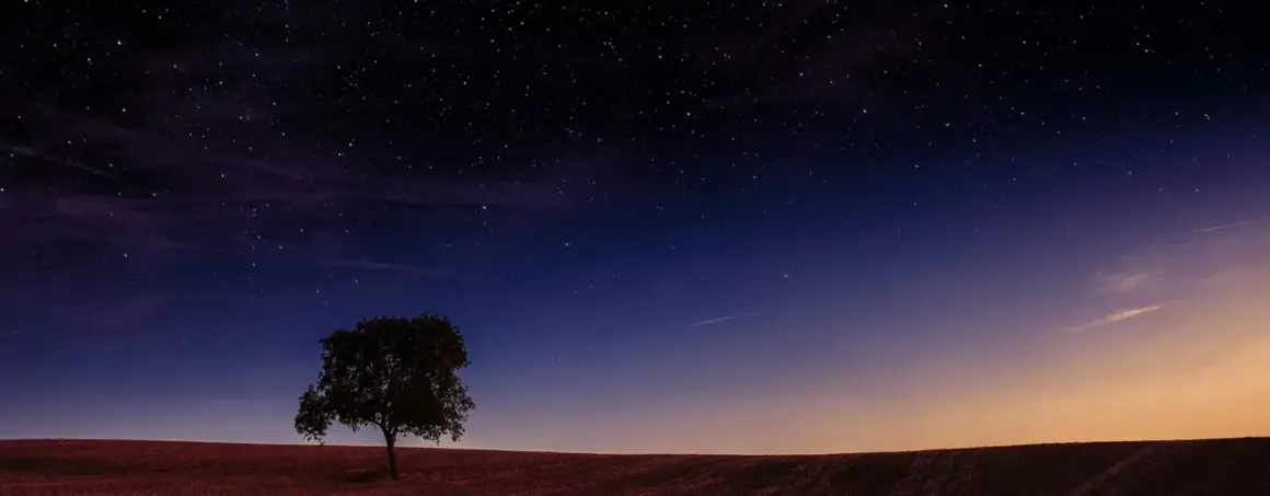 Ensam träd på ett fält under en stjärnklar himmel med en ny måne.