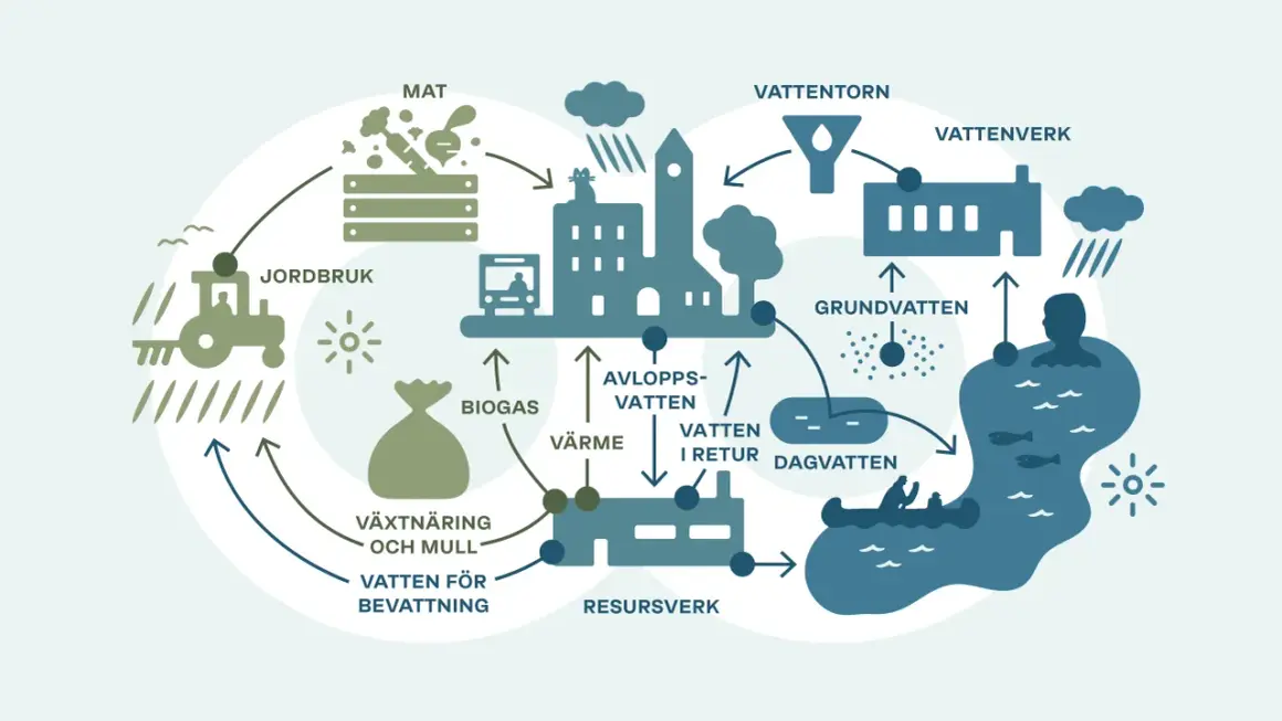 Diagrammet visar hur jordens vatten cirkulerar från jordbruk och matproduktion till städer, reningsverk och tillbaka till naturen.
