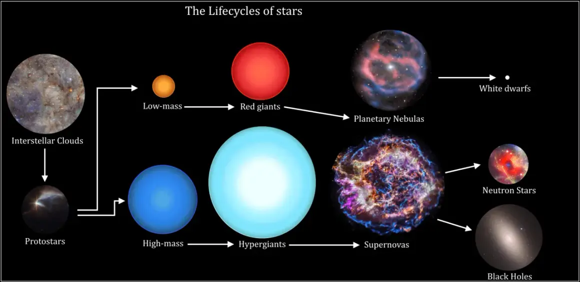 Diagrammet visar stjärnors livscykler, från interstellära moln till protostjärnor, röda jättar, hyperjättar, supernovor, vita dvärgar, neutronstjärnor och svarta hål. En bra grund för astronomi utbildning.