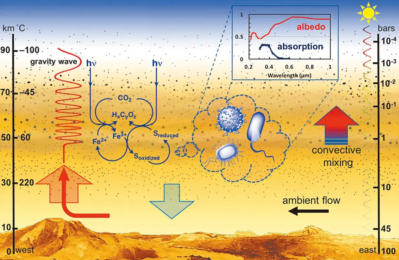 Diagram &ouml;ver venus atmosf&auml;r med kemiska reaktioner, mikrobiellt liv och atmosf&auml;riska fenomen som gravitationsv&aring;gor och konvektiv blandning.