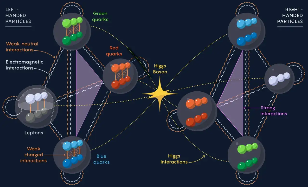 Diagram visar hur partiklar interagerar. Kvarkar och leptoner omges av Higgs-bosonen, den minsta partikeln som ger massa.
