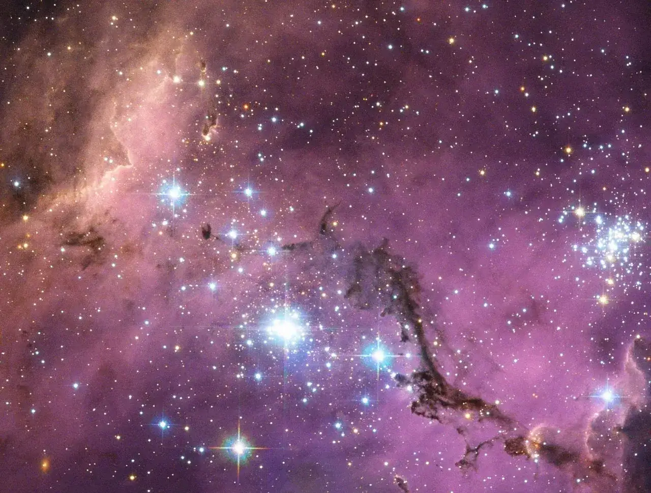 Ett fält av stjärnor och gas i det stora magellanska molnet, med rosa och lila nebulosor och mörka dammstrimmor.