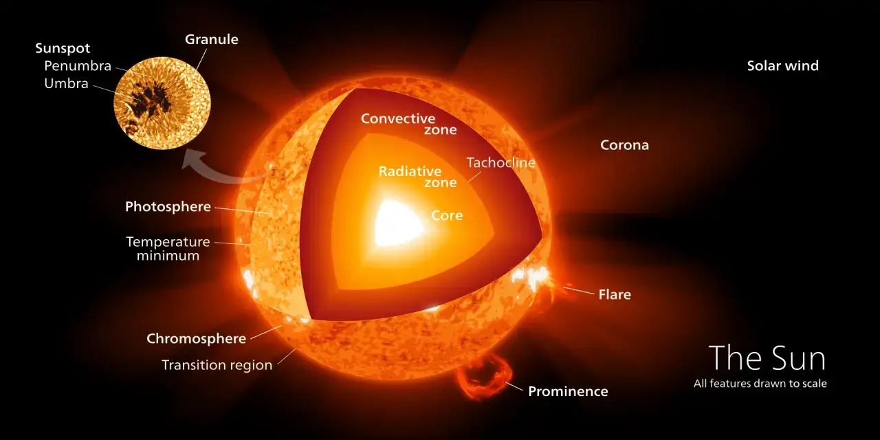 Solens inre delar: solens k&auml;rna, str&aring;lningszon, konvektionszon. Yttre lager: fotosf&auml;r, kromosf&auml;r, korona. Solstormar och solfl&auml;ckar syns.
