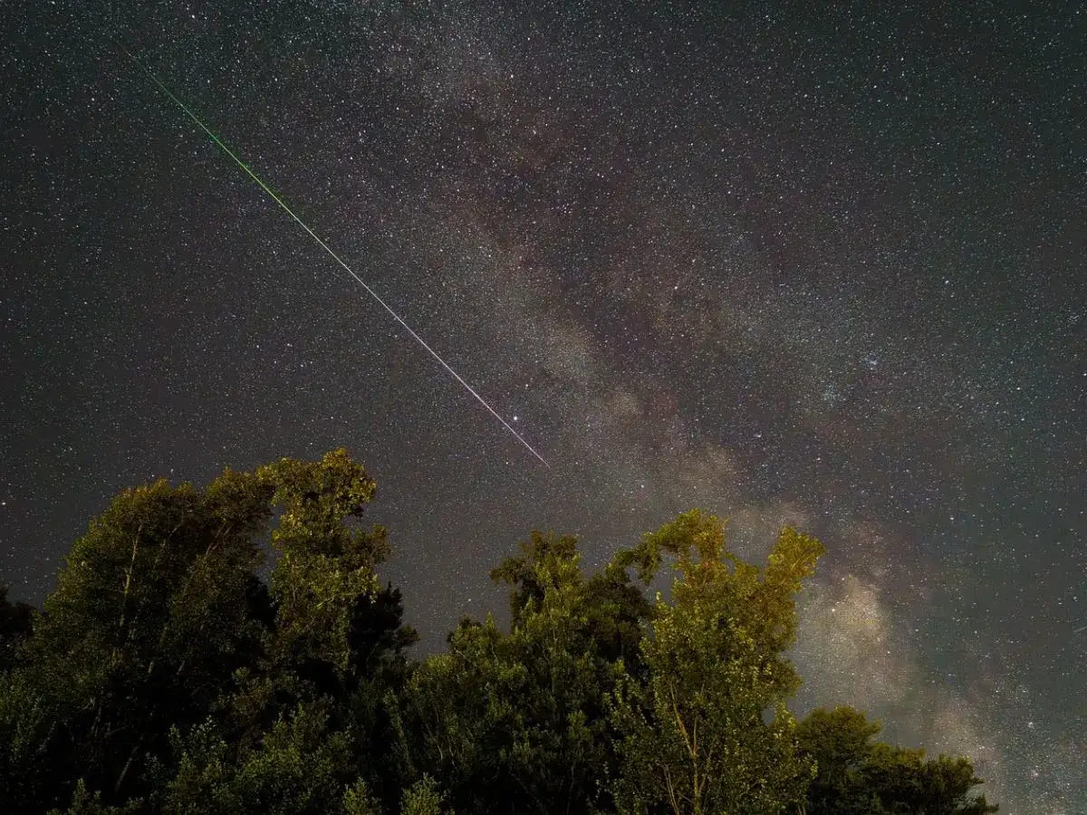 En gr&ouml;naktig meteor drar en ljusstrimma &ouml;ver en stj&auml;rnklar natthimmel, med Vintergatan synlig bakom tr&auml;dtopparna. Vilken fantastisk meteor idag!