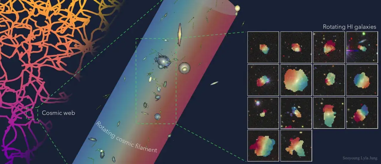 Den kosmiska v&auml;ven, en struktur av galaxer och gas, visas med roterande galaxer.