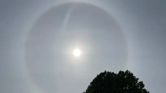Ring runt solen - Vad betyder halofenomenet för vädret?