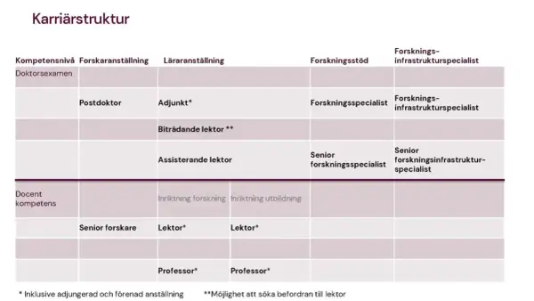 Karriärstruktur för en astrofysiker: från postdoktor till professor, med olika anställningsformer och forskningsstöd.