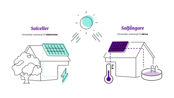 Diagram visar hur solceller omvandlar solljus till el och solfångare till värme. Solen består av gaser, vilket är grunden för vad solen består av.